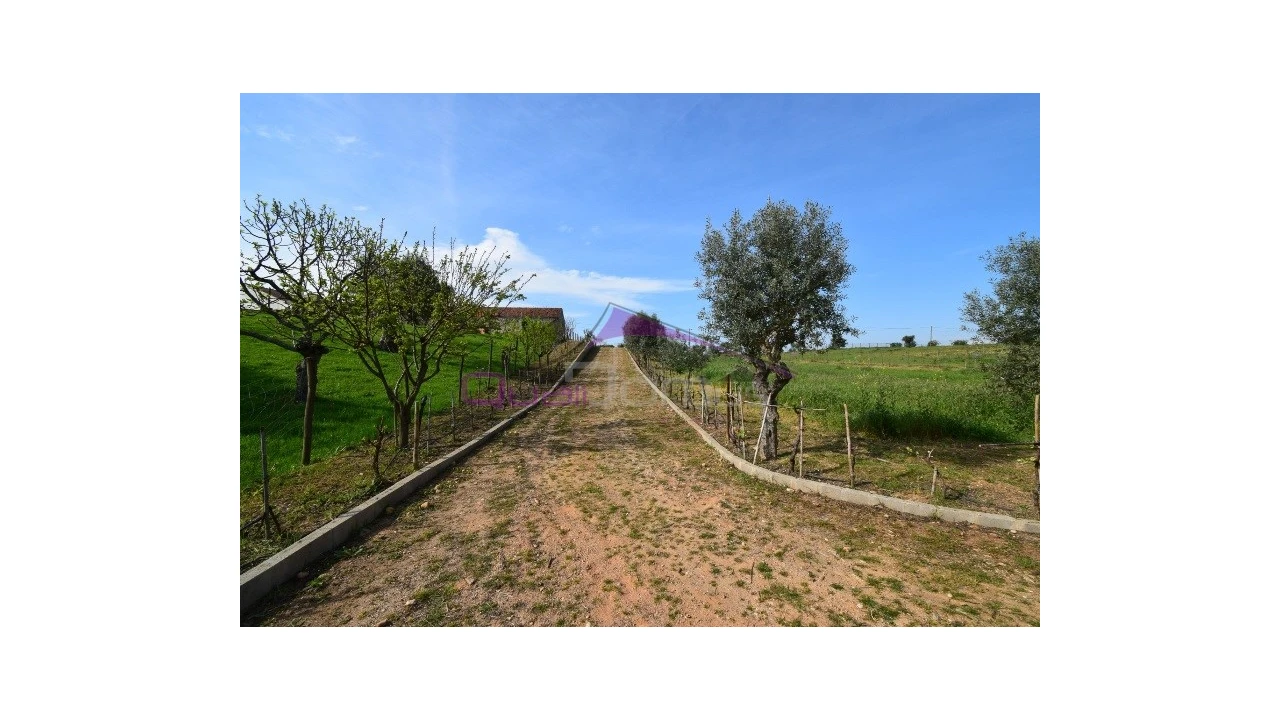 Terreno Agricola ou Rústico para Venda em Brogueira, Parceiros de Igreja e Alcorochel Foto 3