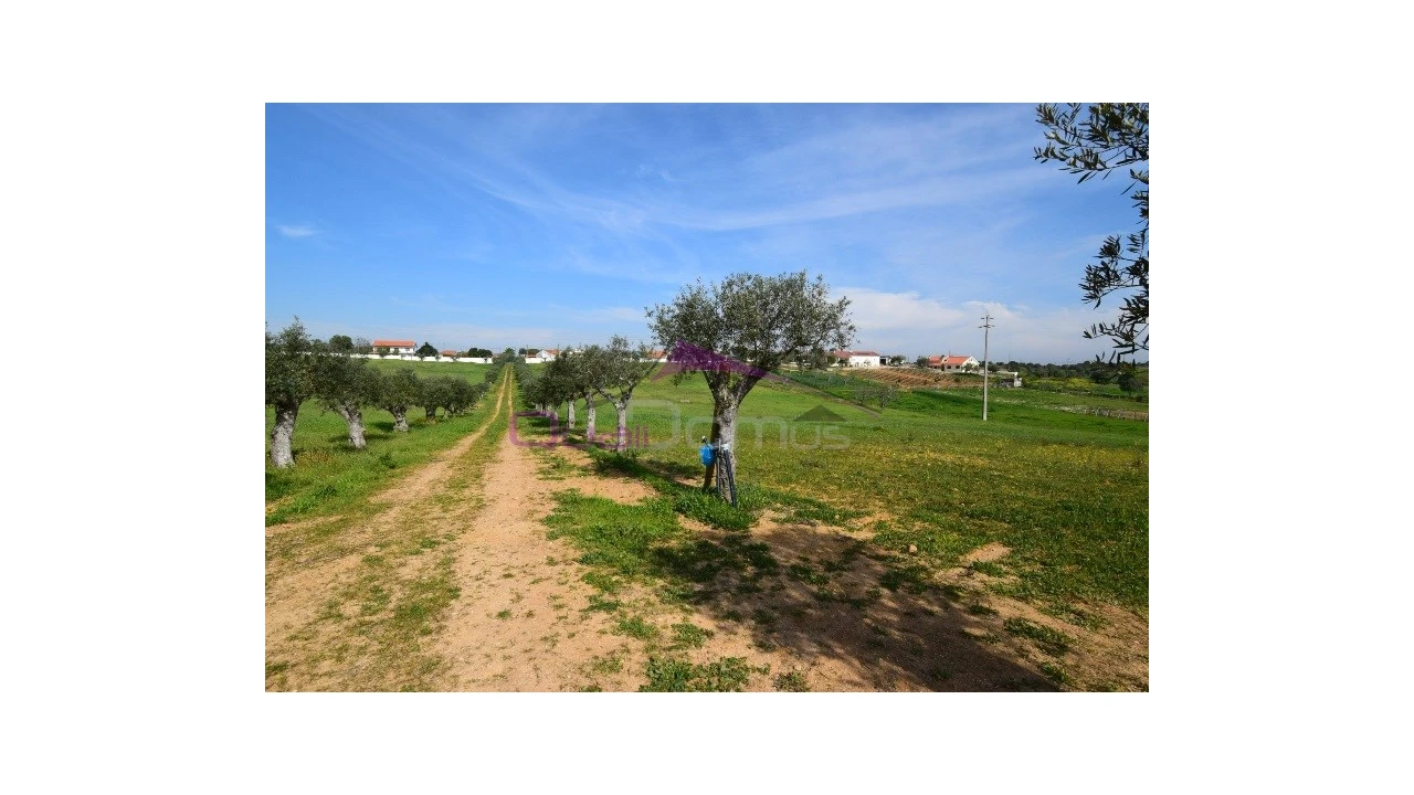Terreno Agricola ou Rústico para Venda em Brogueira, Parceiros de Igreja e Alcorochel Foto 8