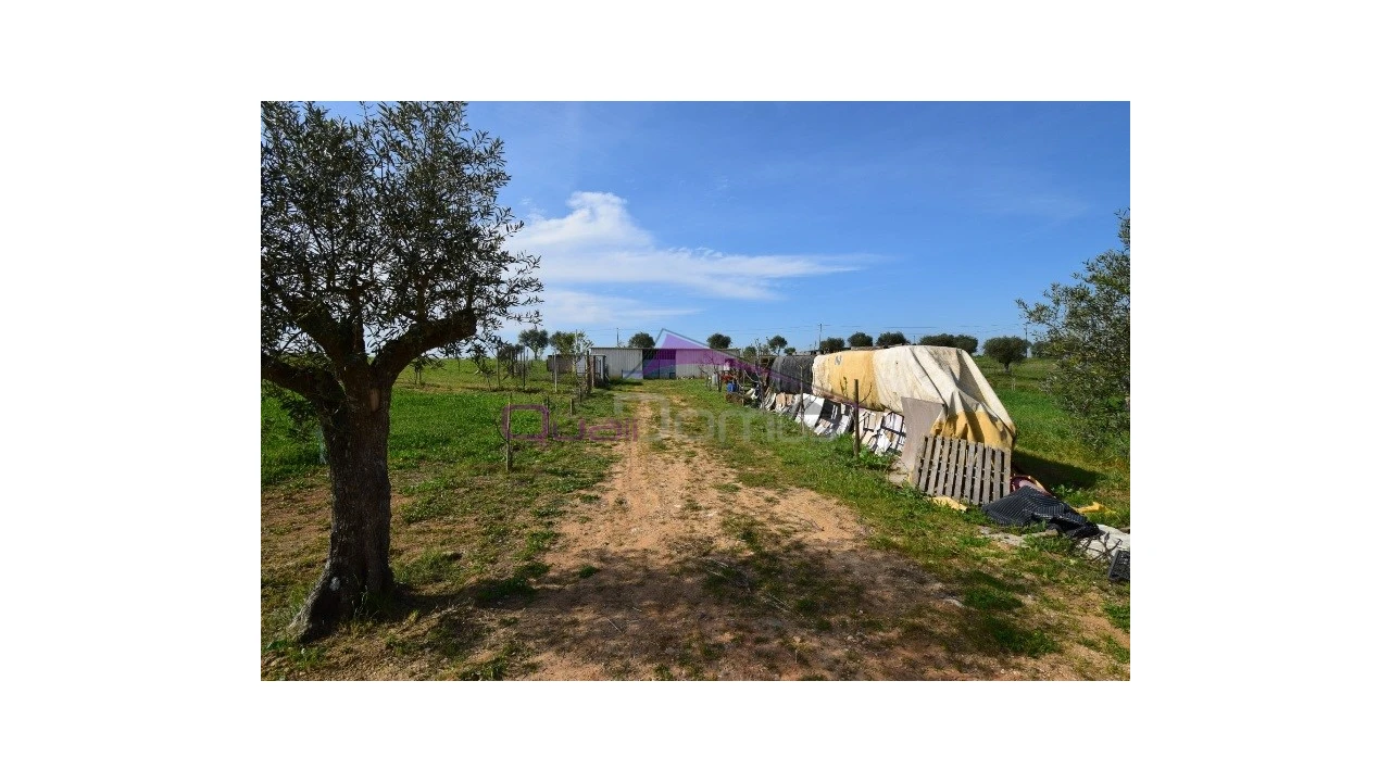 Terreno Agricola ou Rústico para Venda em Brogueira, Parceiros de Igreja e Alcorochel Foto 9