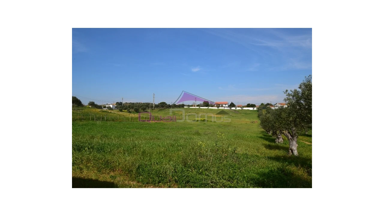 Terreno Agricola ou Rústico para Venda em Brogueira, Parceiros de Igreja e Alcorochel Foto 10