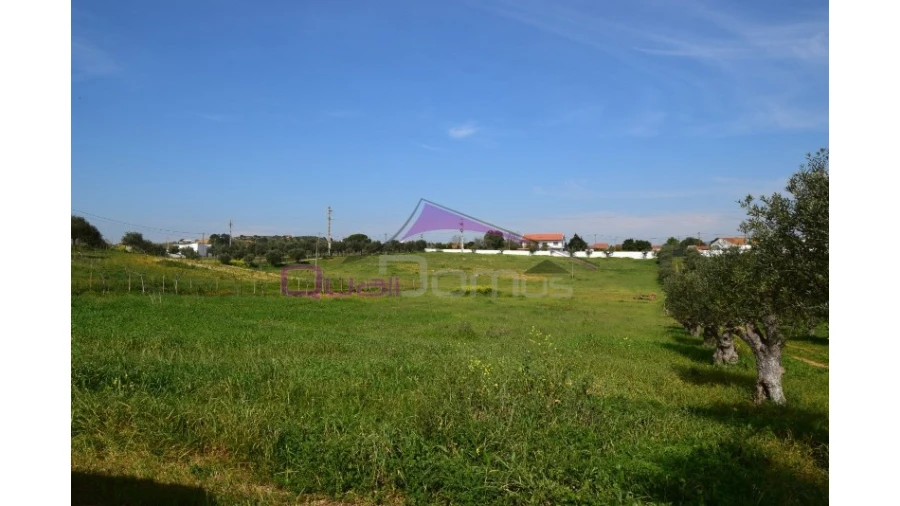 Terreno Agricola ou Rústico para Venda em Brogueira, Parceiros de Igreja e Alcorochel Foto 10