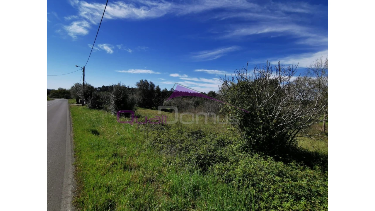 Terreno para Venda em Olaia e Paço Foto 2