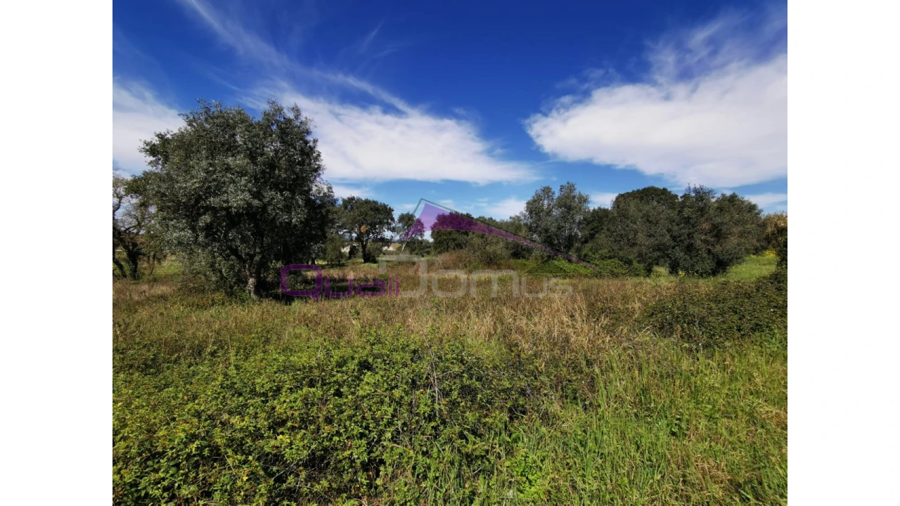 Terreno para Venda em Olaia e Paço Foto 4