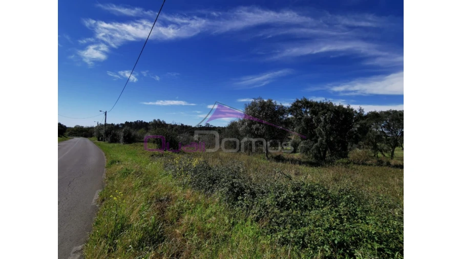 Terreno para Venda em Olaia e Paço Foto 1