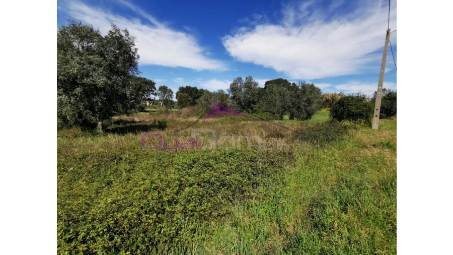 Terreno para Venda em Olaia e Paço Foto 3
