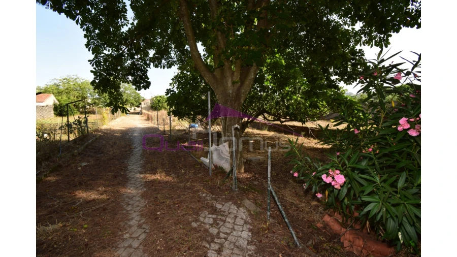 Moradia T4 para Venda em Minde Foto 46