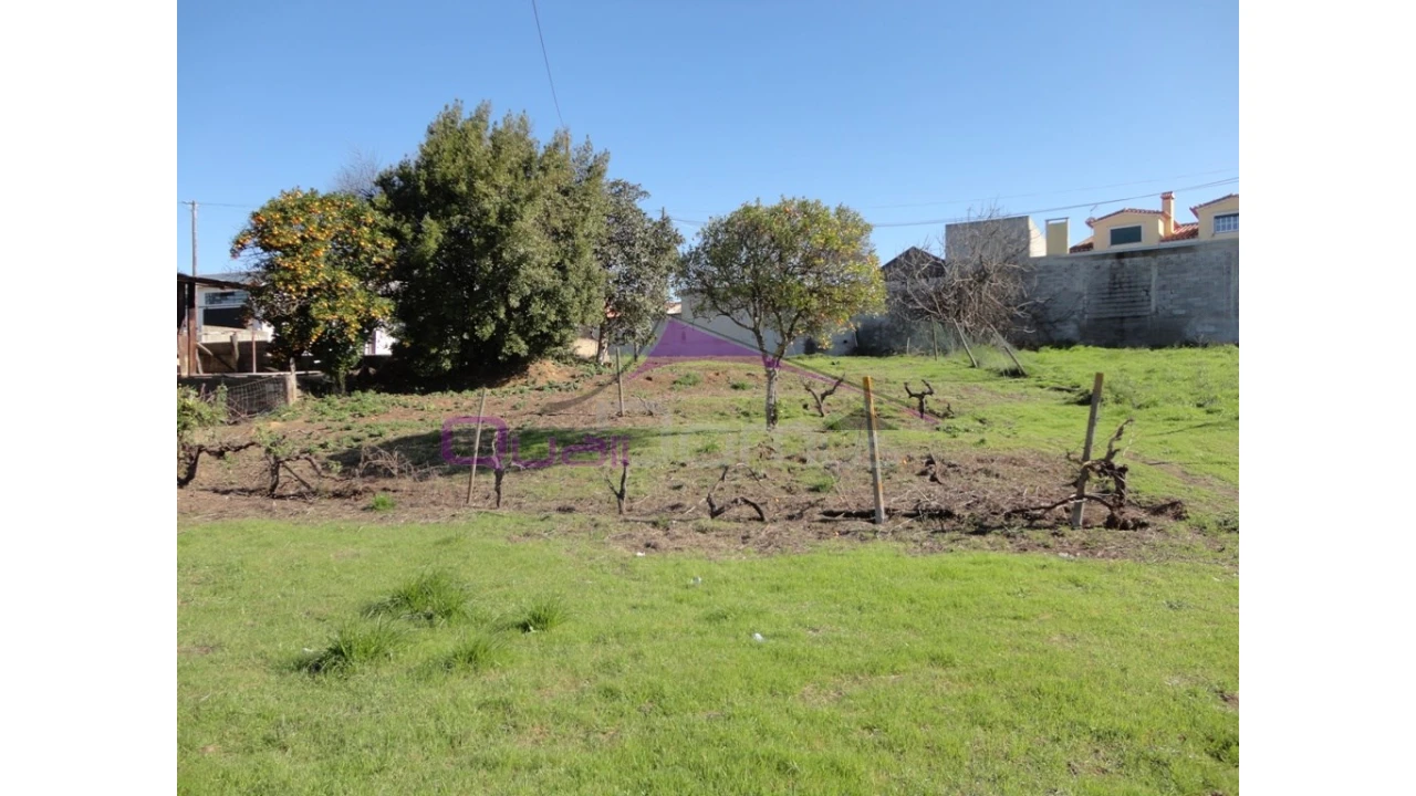 Terreno para Venda em Riachos Foto 6
