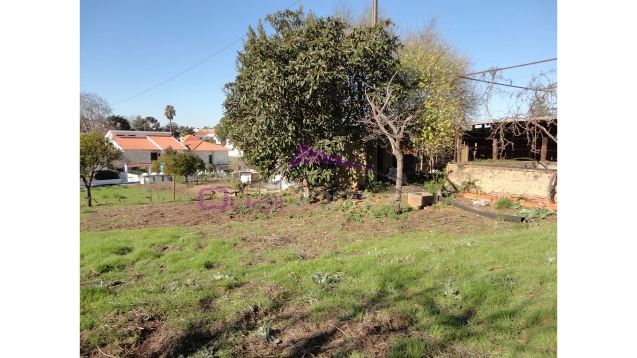 Terreno para Venda em Riachos Foto 7