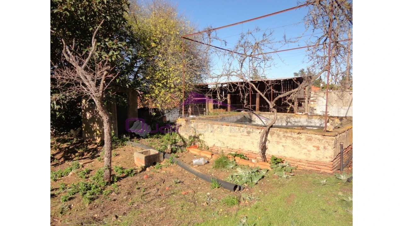 Terreno para Venda em Riachos Foto 10