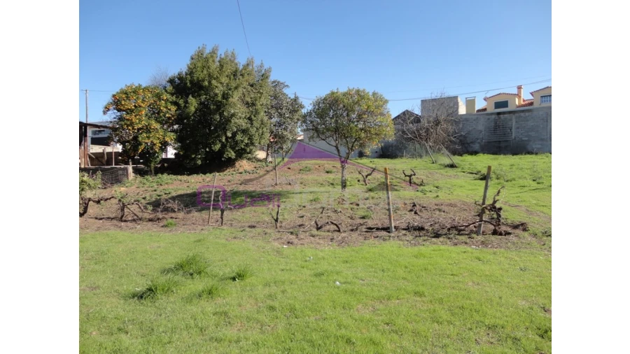 Terreno para Venda em Riachos Foto 6
