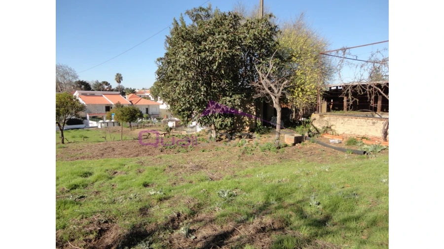Terreno para Venda em Riachos Foto 7