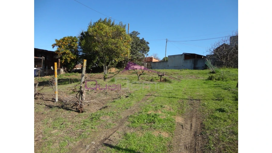 Terreno para Venda em Riachos Foto 8