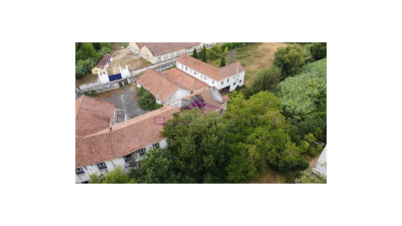 Armazém para Venda em Torres Novas (São Pedro), Lapas e Ribeira Branca Foto 3