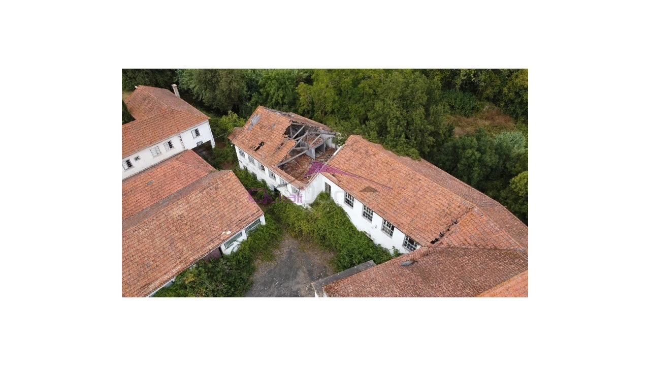 Armazém para Venda em Torres Novas (São Pedro), Lapas e Ribeira Branca Foto 6