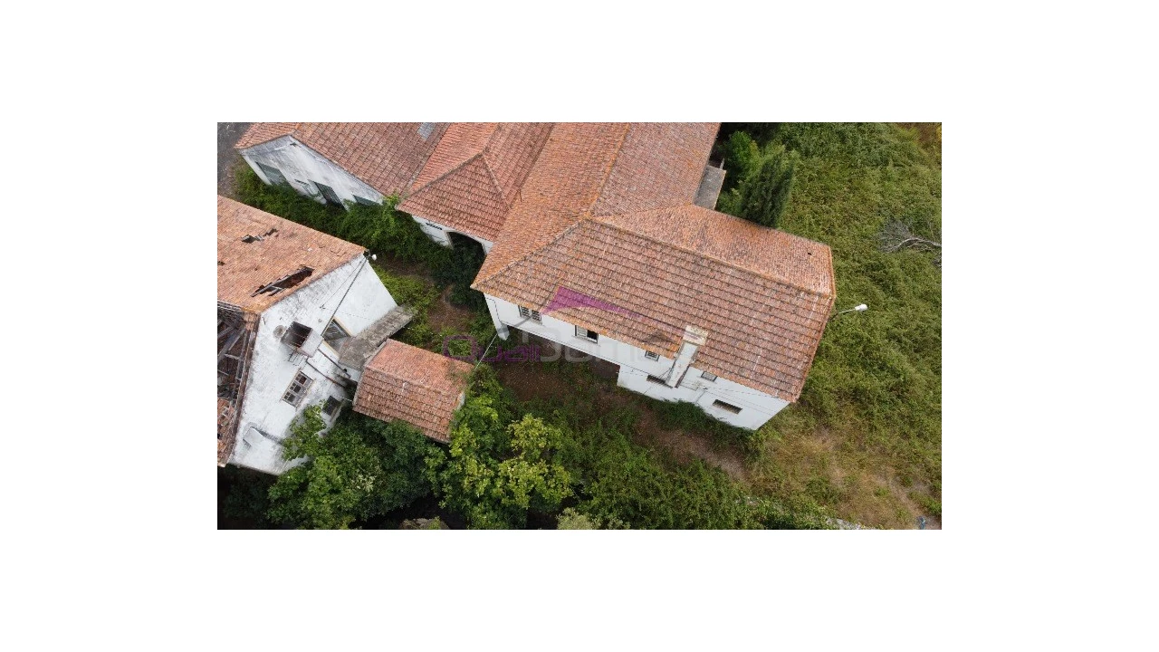 Armazém para Venda em Torres Novas (São Pedro), Lapas e Ribeira Branca Foto 10