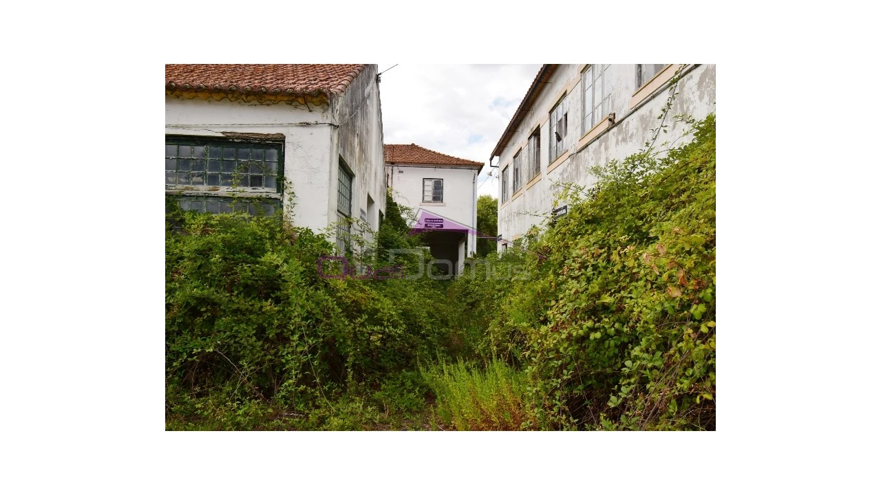 Armazém para Venda em Torres Novas (São Pedro), Lapas e Ribeira Branca Foto 13