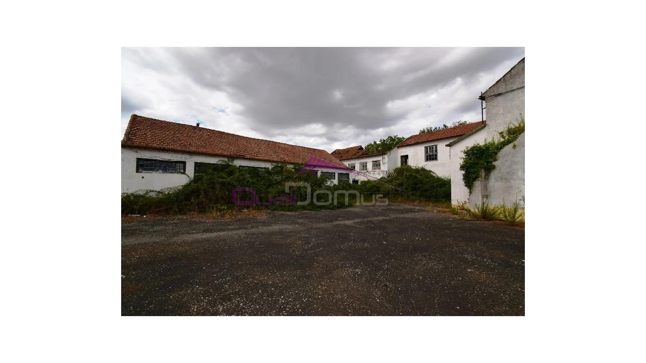 Armazém para Venda em Torres Novas (São Pedro), Lapas e Ribeira Branca Foto 15