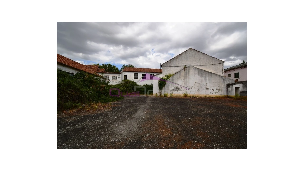 Armazém para Venda em Torres Novas (São Pedro), Lapas e Ribeira Branca Foto 16