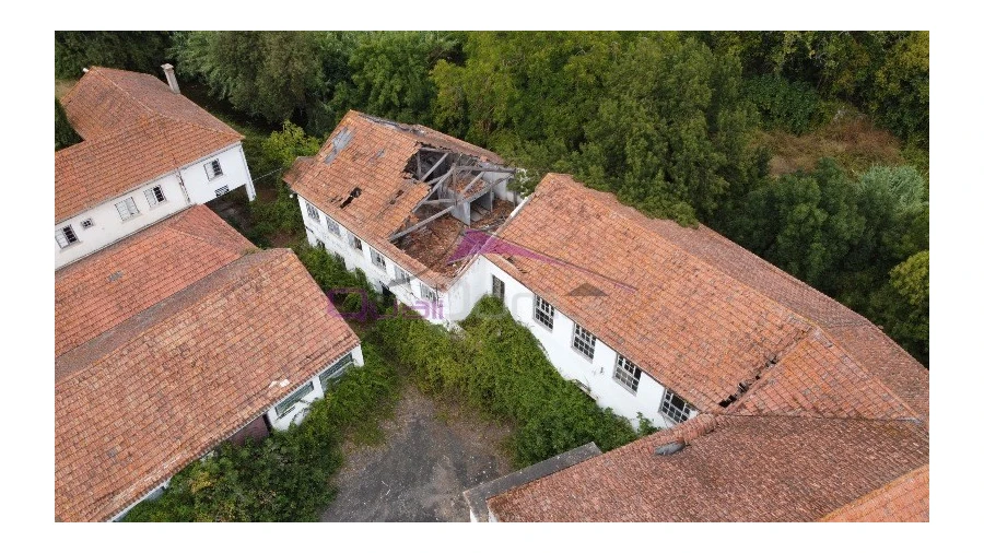 Armazém para Venda em Torres Novas (São Pedro), Lapas e Ribeira Branca Foto 6