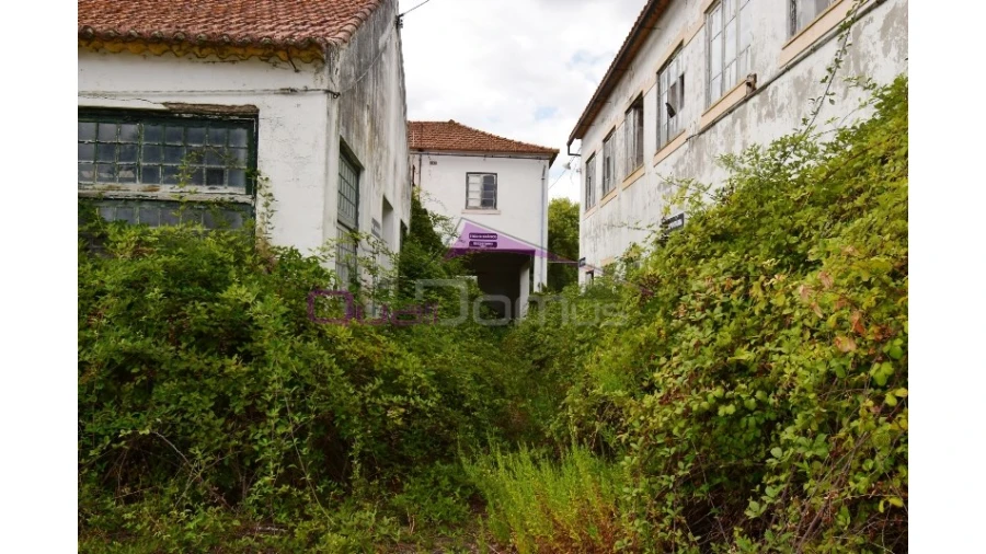 Armazém para Venda em Torres Novas (São Pedro), Lapas e Ribeira Branca Foto 13