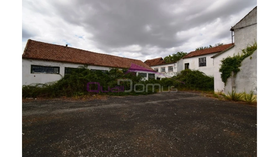 Armazém para Venda em Torres Novas (São Pedro), Lapas e Ribeira Branca Foto 15