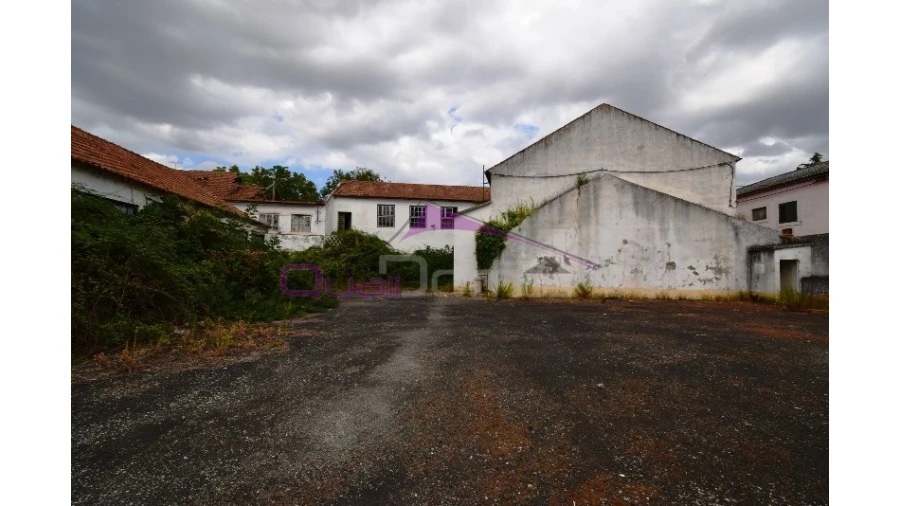 Armazém para Venda em Torres Novas (São Pedro), Lapas e Ribeira Branca Foto 16
