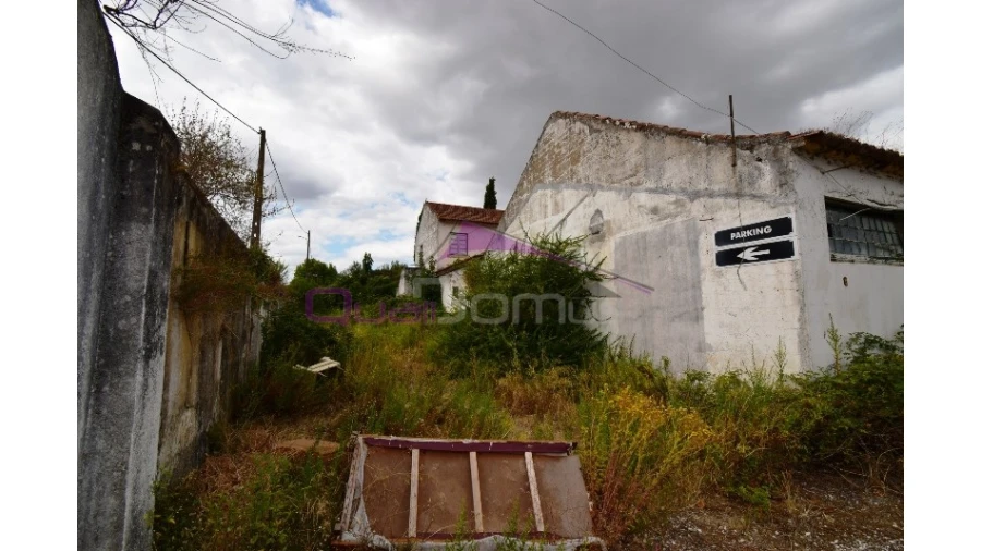 Armazém para Venda em Torres Novas (São Pedro), Lapas e Ribeira Branca Foto 17