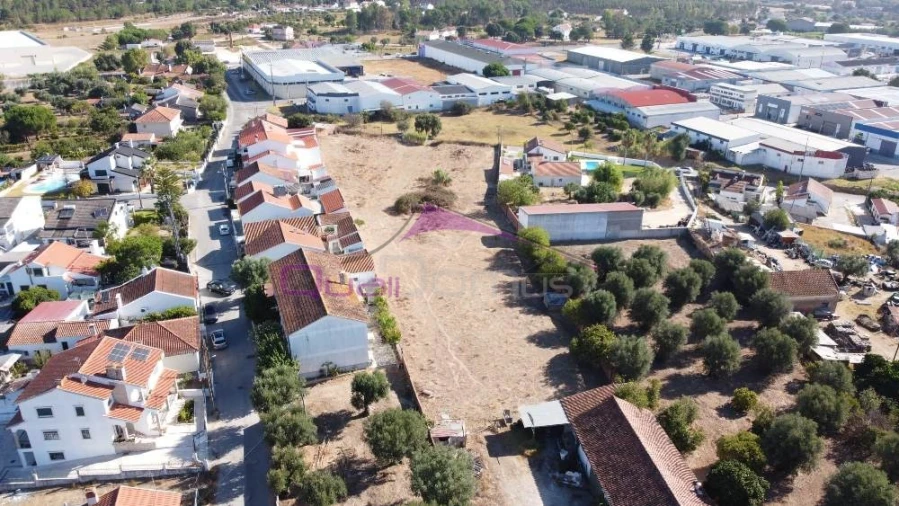 Terreno para Venda em Riachos Foto 12