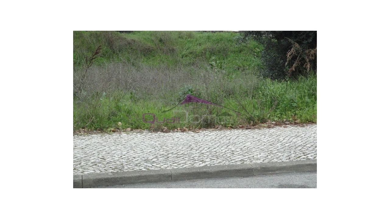 Terreno para Venda em Torres Novas (São Pedro), Lapas e Ribeira Branca Foto 1