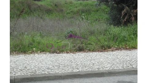 Terreno para Venda em Torres Novas (São Pedro), Lapas e Ribeira Branca