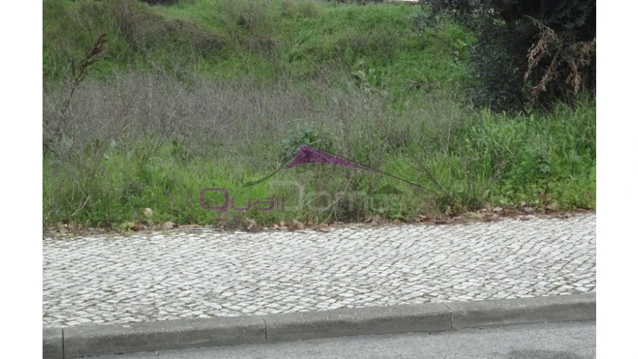 Terreno para Venda em Torres Novas (São Pedro), Lapas e Ribeira Branca Foto 1