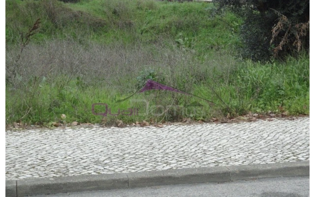 Terreno para Venda em Torres Novas (São Pedro), Lapas e Ribeira Branca