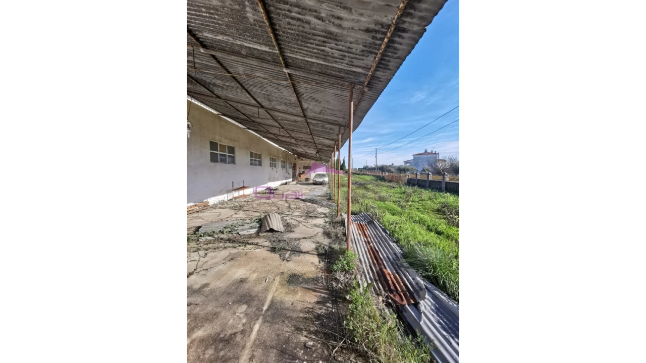 Armazém para Venda em Torres Novas (Santa Maria, Salvador e Santiago) Foto 12