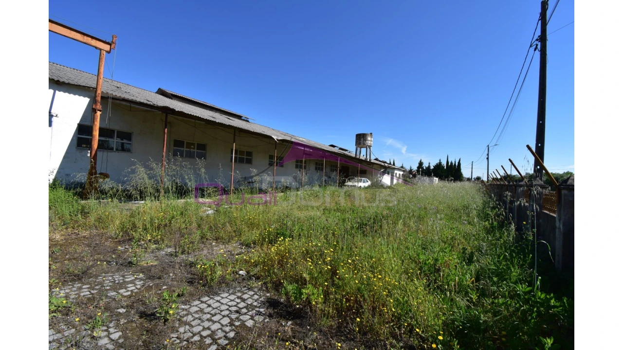 Armazém para Venda em Torres Novas (Santa Maria, Salvador e Santiago) Foto 5