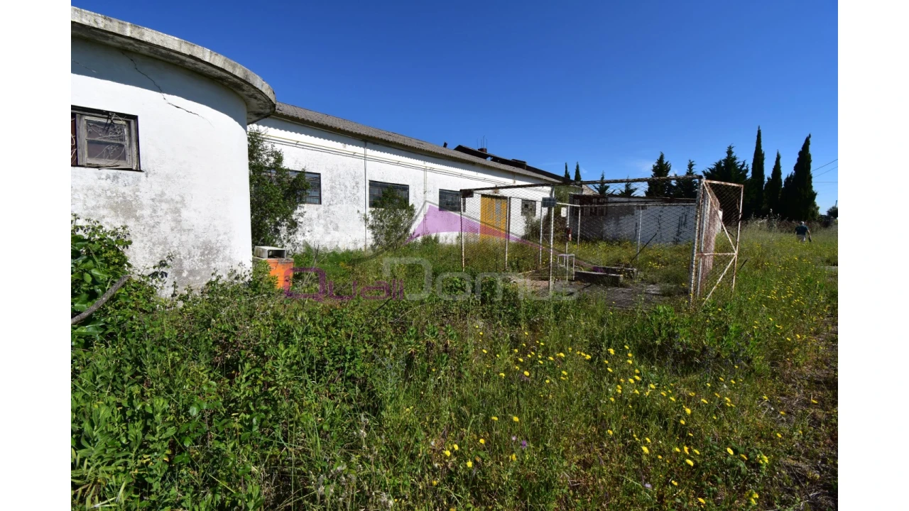Armazém para Venda em Torres Novas (Santa Maria, Salvador e Santiago) Foto 9