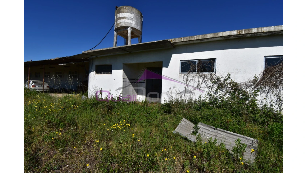 Armazém para Venda em Torres Novas (Santa Maria, Salvador e Santiago) Foto 10