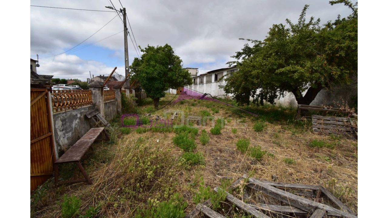 Armazém para Venda em Torres Novas (Santa Maria, Salvador e Santiago) Foto 14