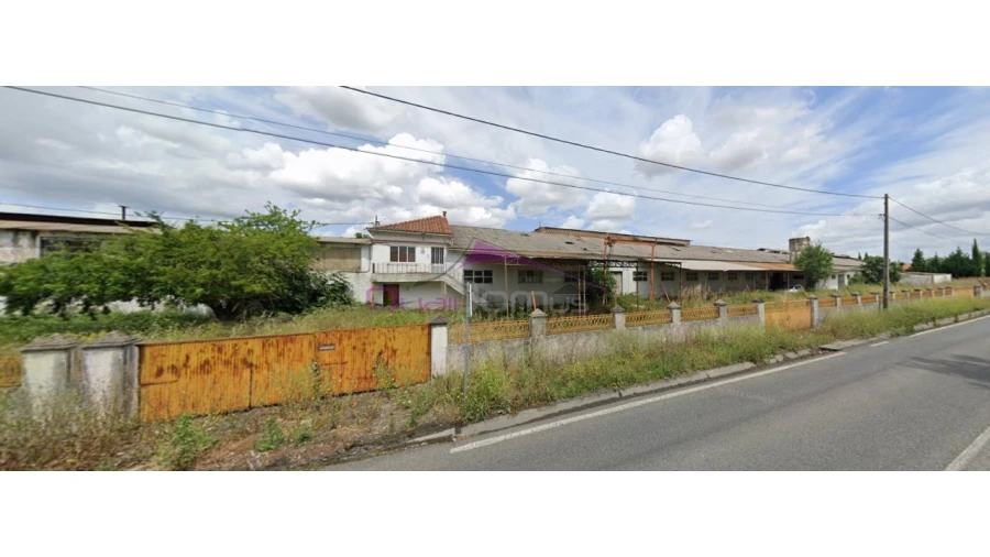 Armazém para Venda em Torres Novas (Santa Maria, Salvador e Santiago) Foto 4