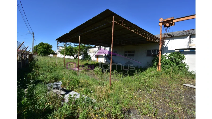 Armazém para Venda em Torres Novas (Santa Maria, Salvador e Santiago) Foto 6