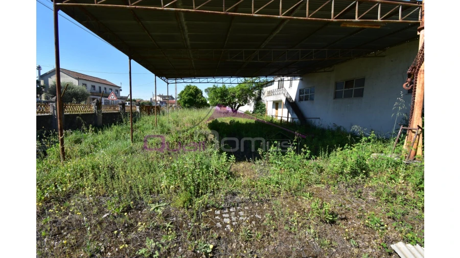 Armazém para Venda em Torres Novas (Santa Maria, Salvador e Santiago) Foto 8