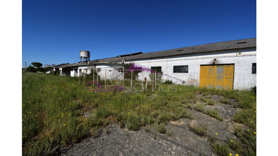 Armazém para Venda em Torres Novas (Santa Maria, Salvador e Santiago) Foto 11