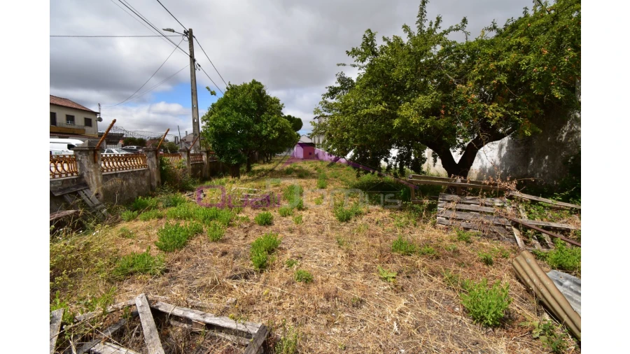 Armazém para Venda em Torres Novas (Santa Maria, Salvador e Santiago) Foto 15