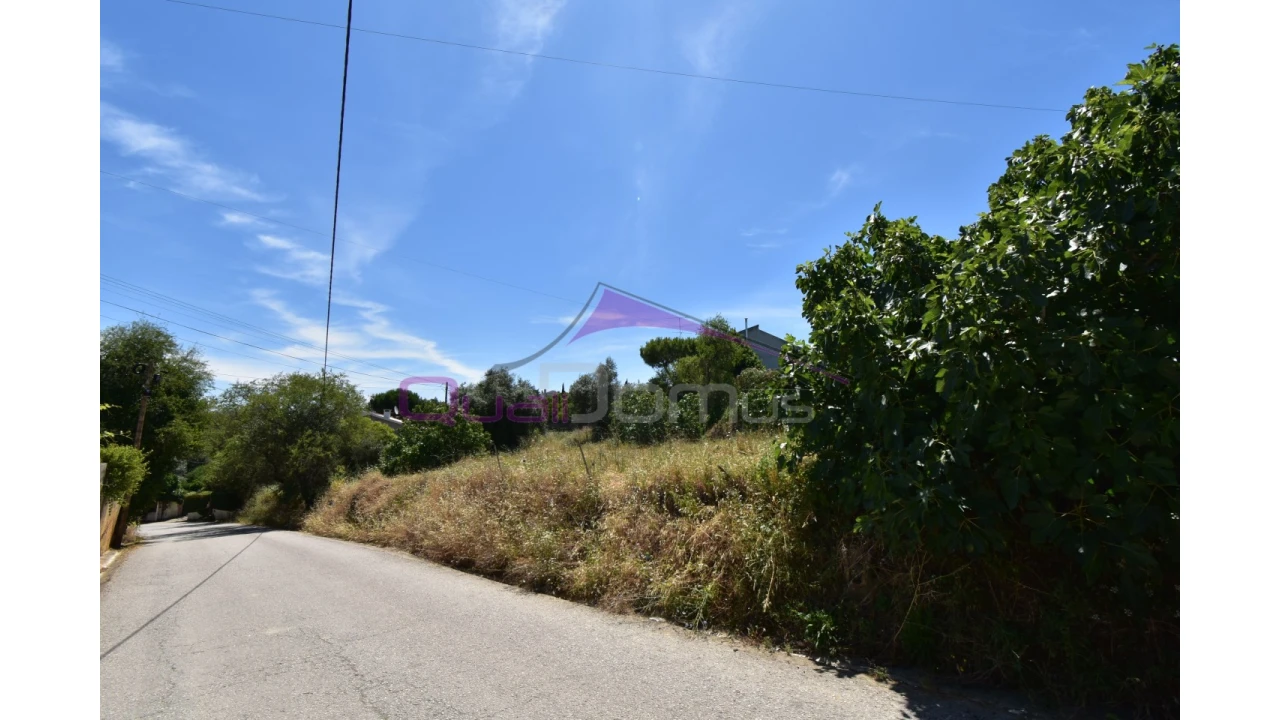 Terreno para Venda em Pedrogão Foto 2