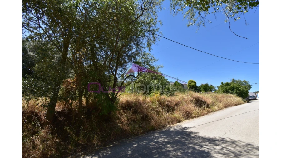 Terreno para Venda em Pedrogão Foto 1