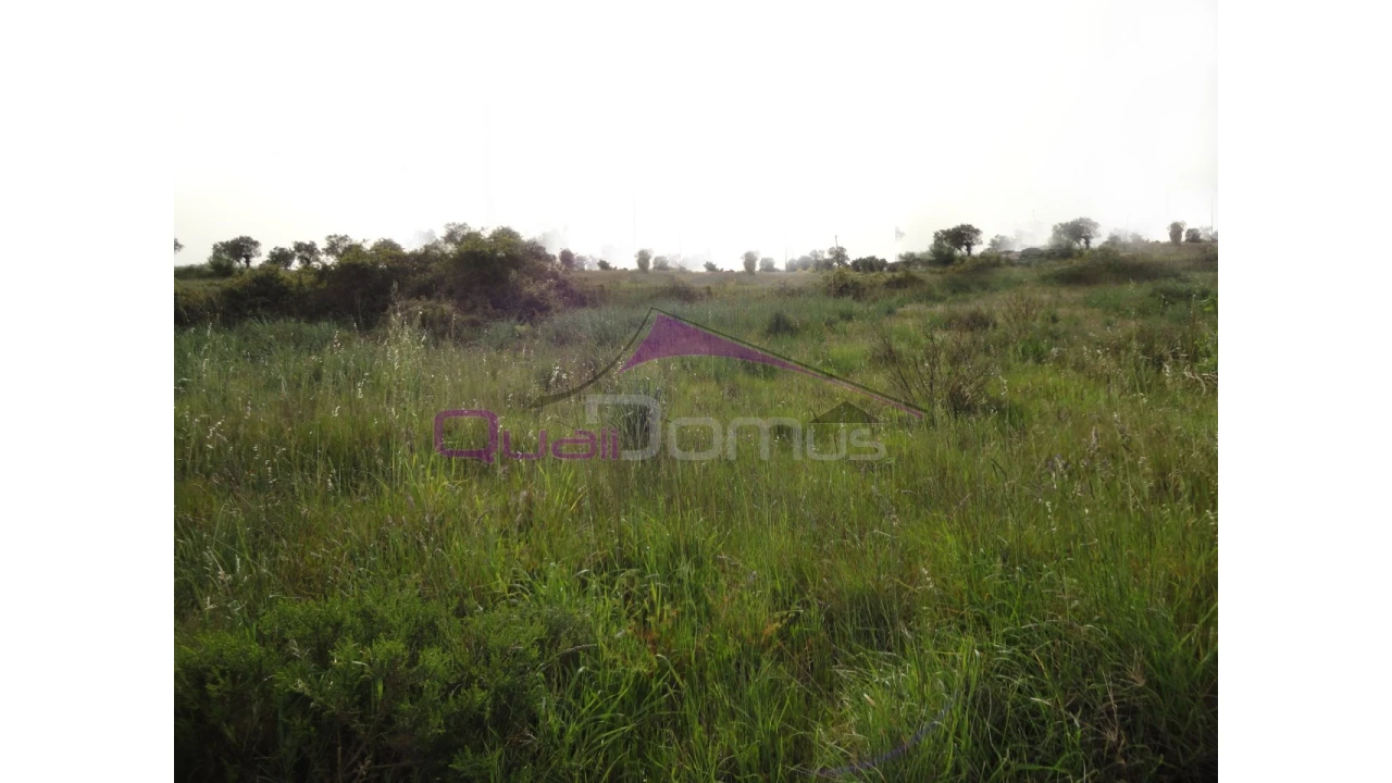 Terreno para Venda em Montalvo Foto 1