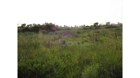 Terreno para Venda em Montalvo