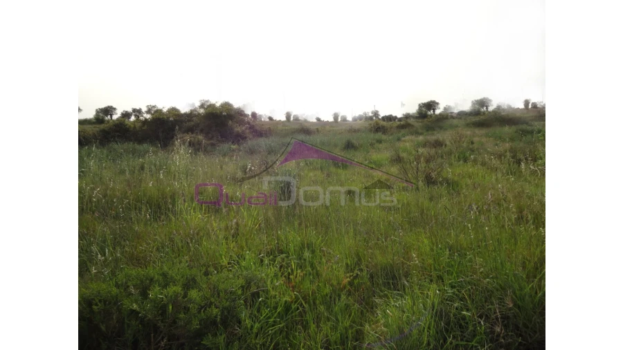 Terreno para Venda em Montalvo Foto 1