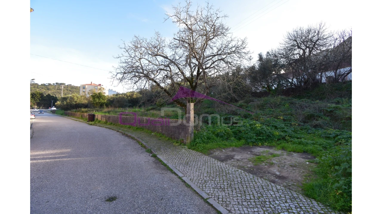 Terreno para Venda em Minde Foto 3