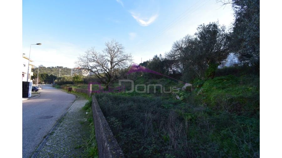 Terreno para Venda em Minde Foto 2