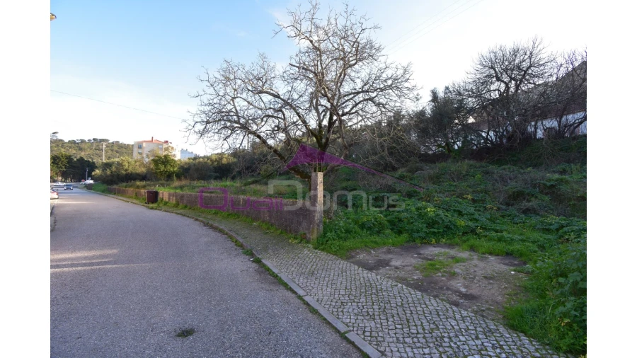 Terreno para Venda em Minde Foto 3